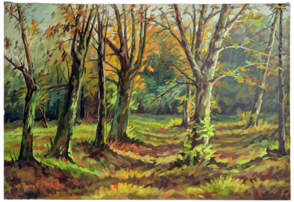 antonio_zanettin_pittore8